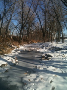 A small, semi frozen creek with animal tracks around it. Winter, wooded area. 