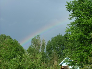 A rainbow cresting over a wooded area and a small house. 