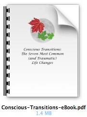 Conscious Transitions eBook